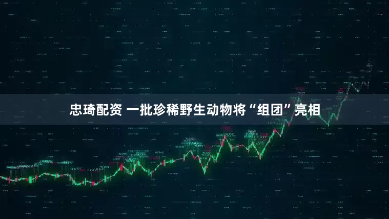 忠琦配资 一批珍稀野生动物将“组团”亮相