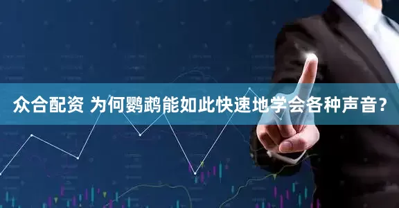 众合配资 为何鹦鹉能如此快速地学会各种声音？